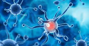 Mycobacteriology